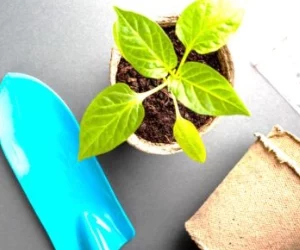 2024 : Une année grandiose !