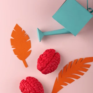 Cerveau agile, mémoire vive : l’oubli, c’est fini