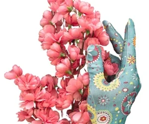 2026 : Une année de déclic et de transformation !