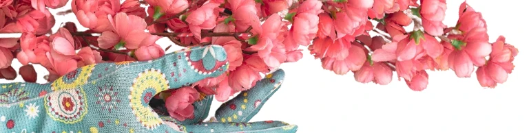 formations certifiantes et innovantes